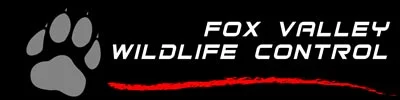 Fox Valley Wildlife Control